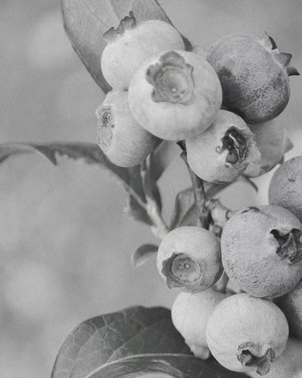 Switching to natural skincare: What to know